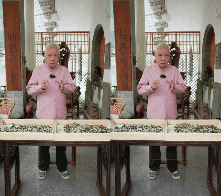 Qwen2.5VL MinMax Watermark/Subtitle Removal