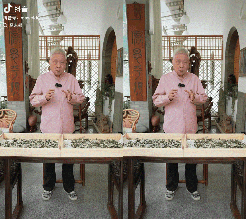 Qwen2.5VL MinMax Watermark/Subtitle Removal