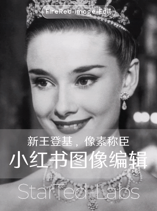 FireRed-image-edit小红书图像编辑器-视觉领主：定格开源图像编辑的巅峰时刻
