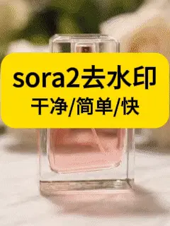 sora2去水印(更优)
