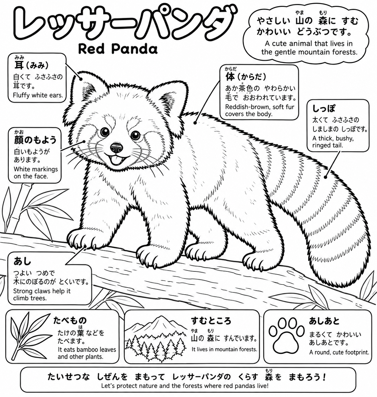 小学生向け動物科学ぬりえ線画
