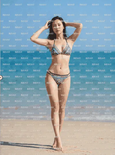 图像高精度去水印与无损修复