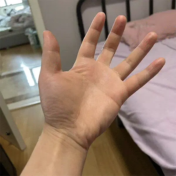 Wan2.2 Graph-generated video Plant growth spreading kijai version workflow