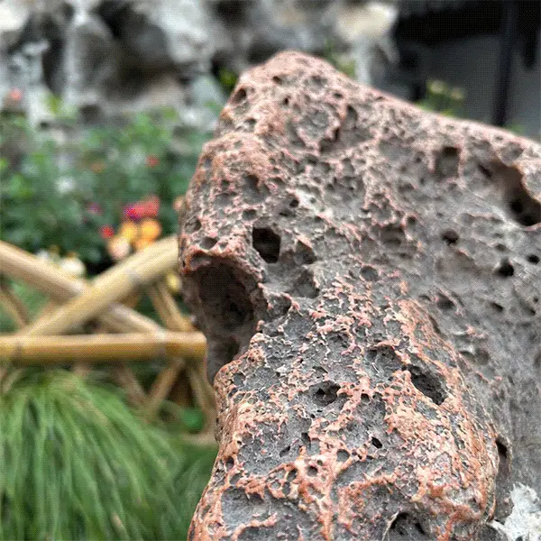 Wan2.2 Graph-generated video Plant growth spreading kijai version workflow