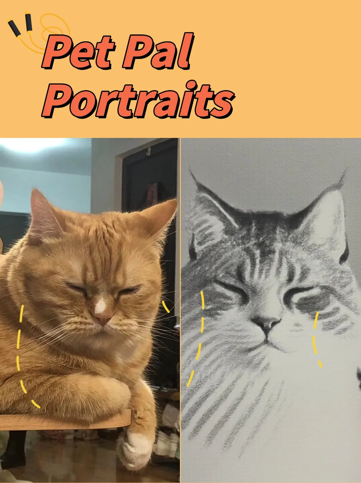Pet Pal Portraits - 萌宠速写