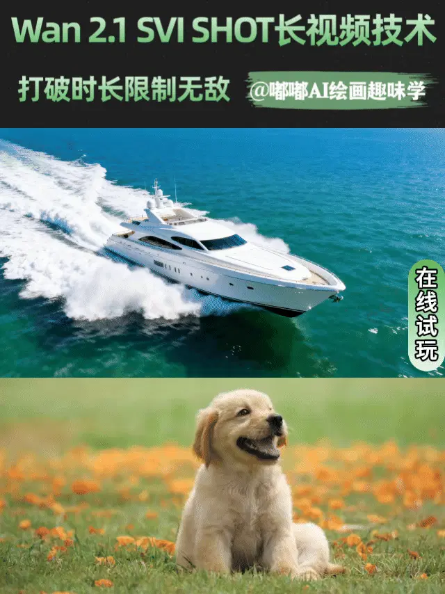 SVI SHOT 1分钟长视频(适合变化小的)