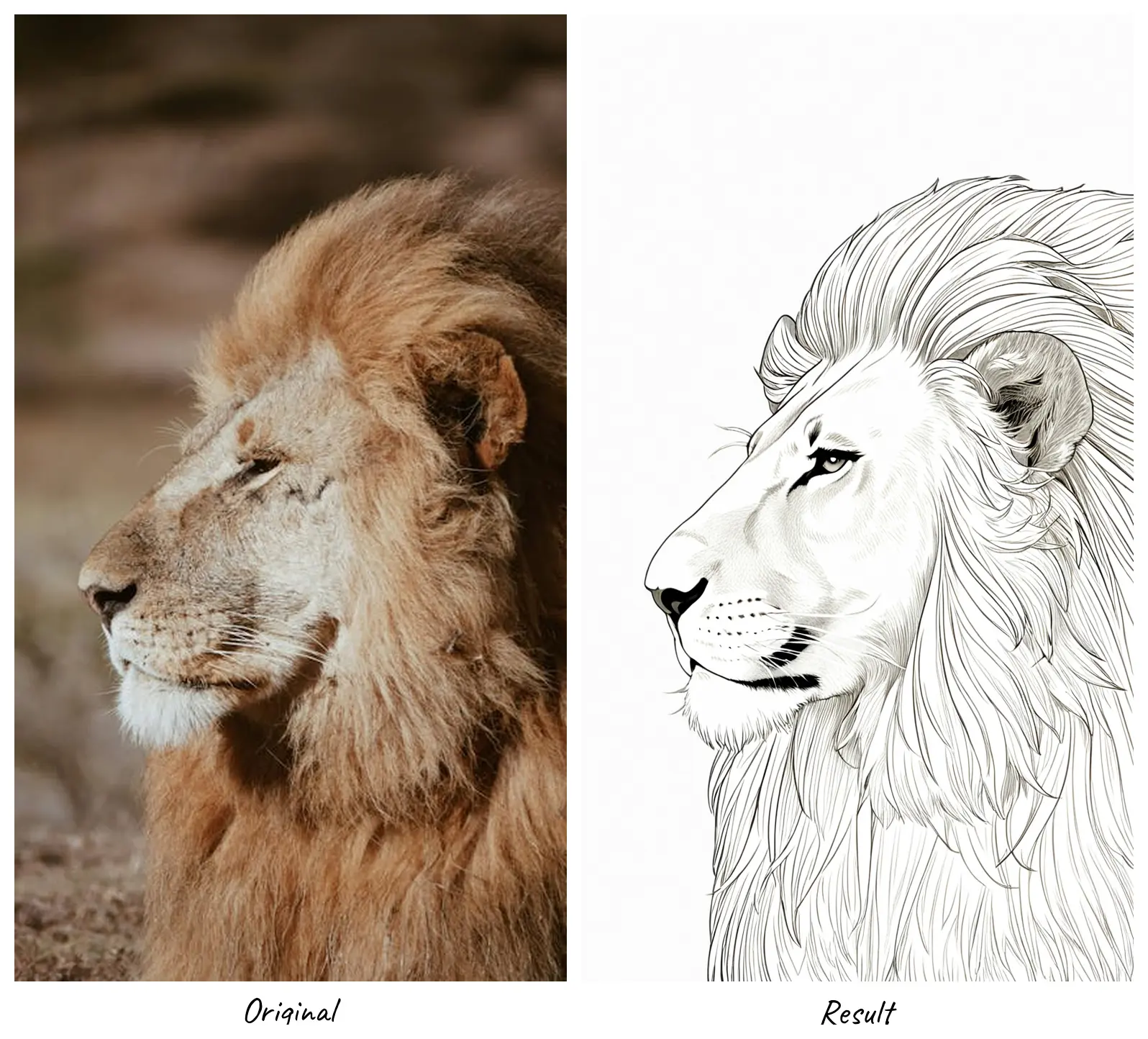 Awsome Line Art V3