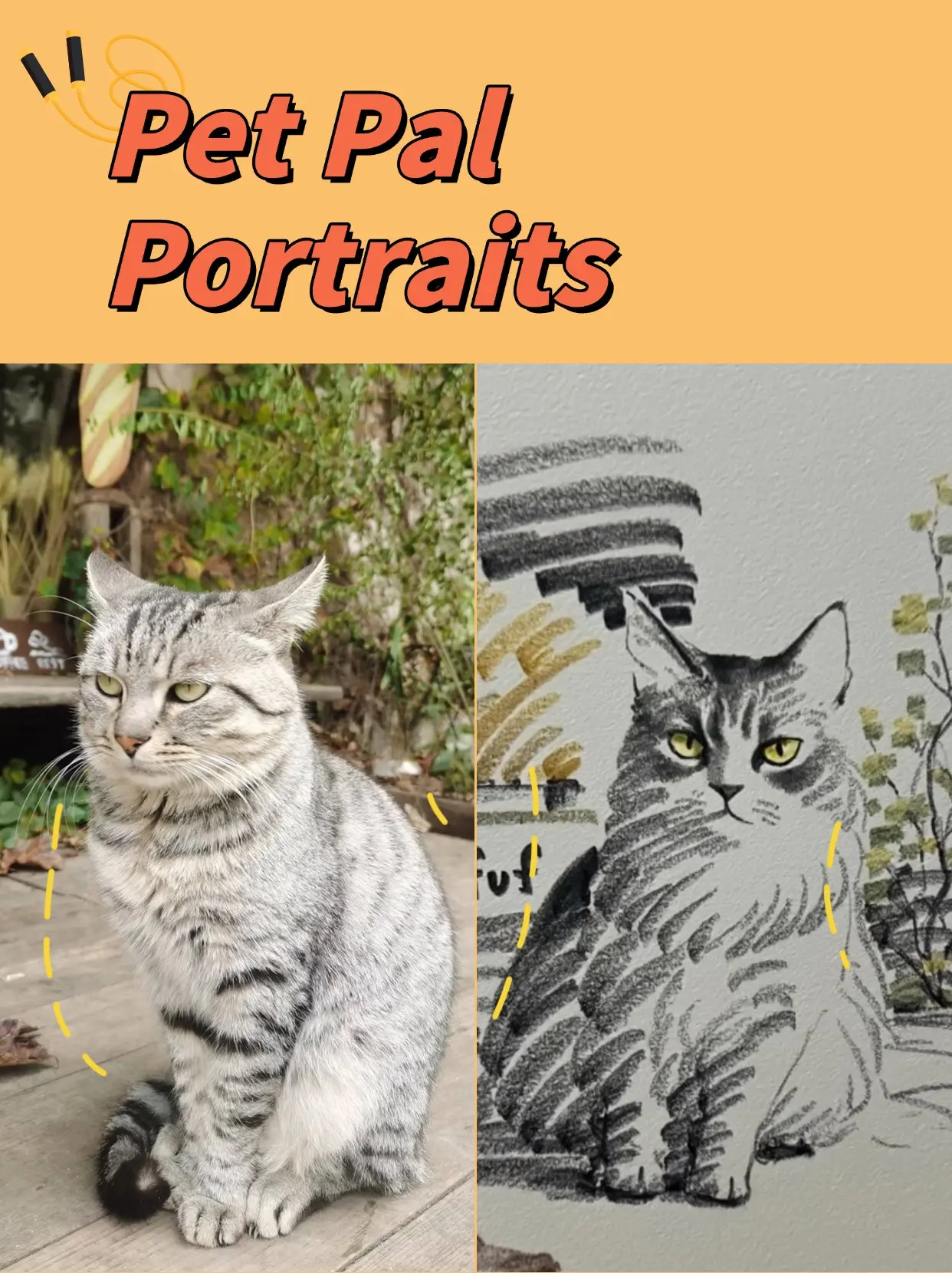 Pet Pal Portraits
