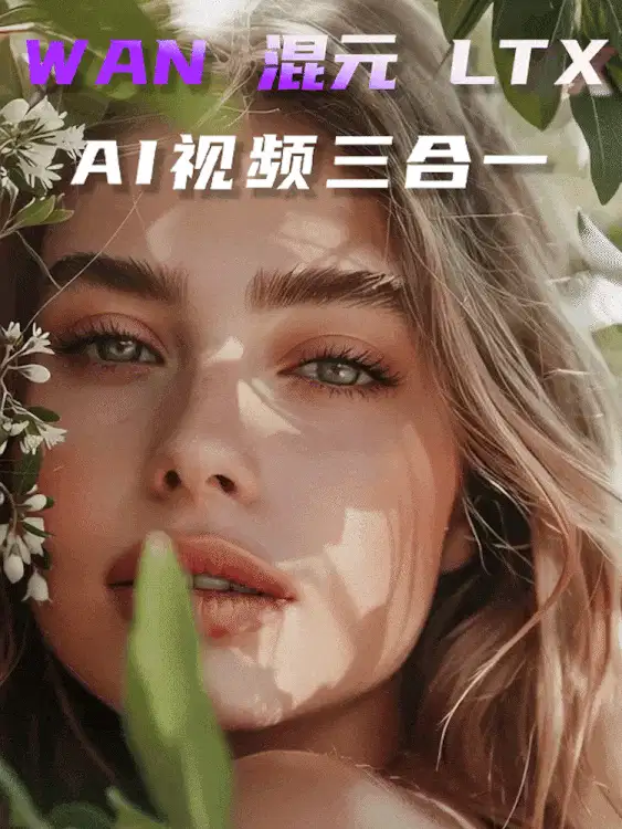 wan_混元_ltx_开源视频模型_图生视频 三合一
