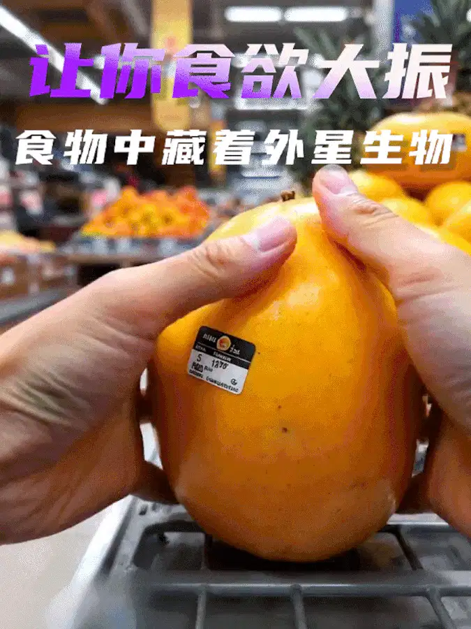食物包裹外形生物