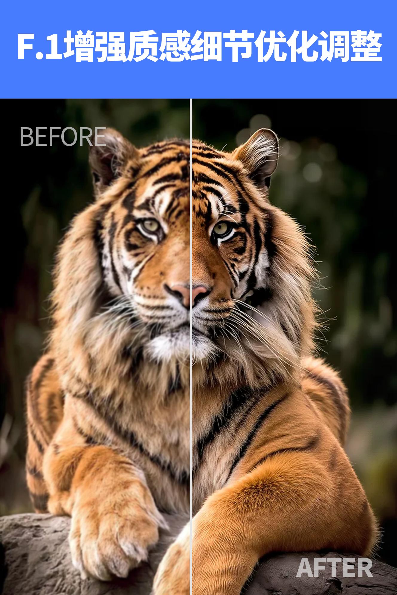 F.1增强质感_细节优化调整4.0尊享版