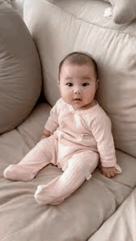 AI面包超人