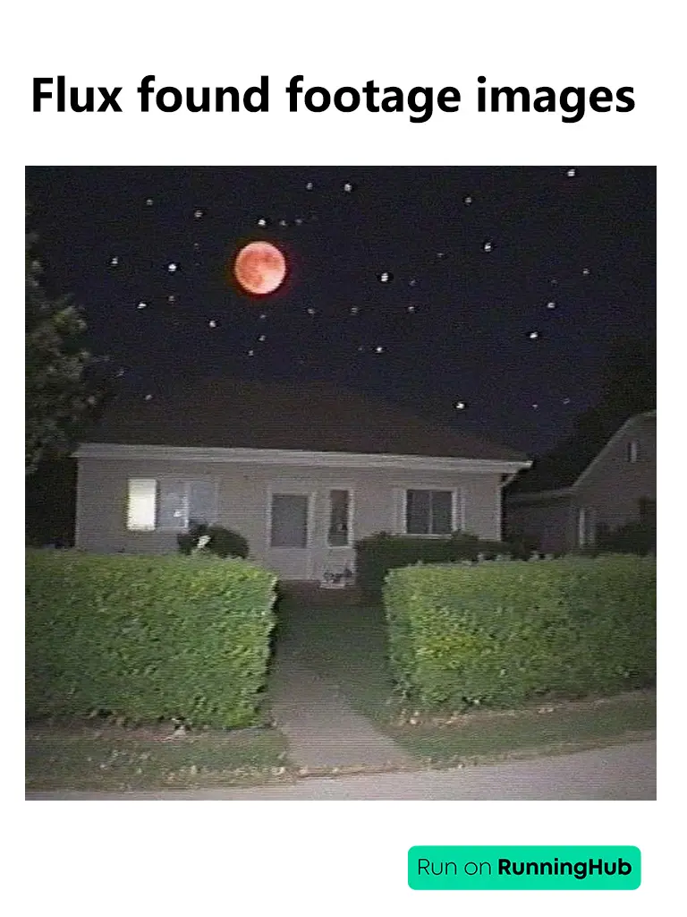 Flux found footage images