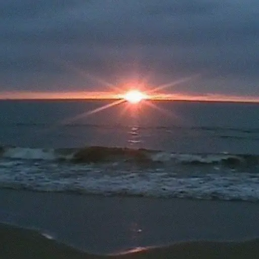 Flux found footage images