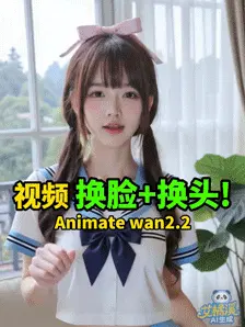 最强视频换脸+换头 Animate Wan2.2=B站艾橘溪