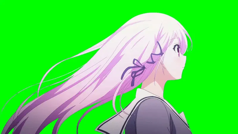 Image Video Cutout Green Screen Composition