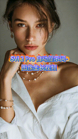 SVI 2 Pro 自动提示词-图像生成长视频