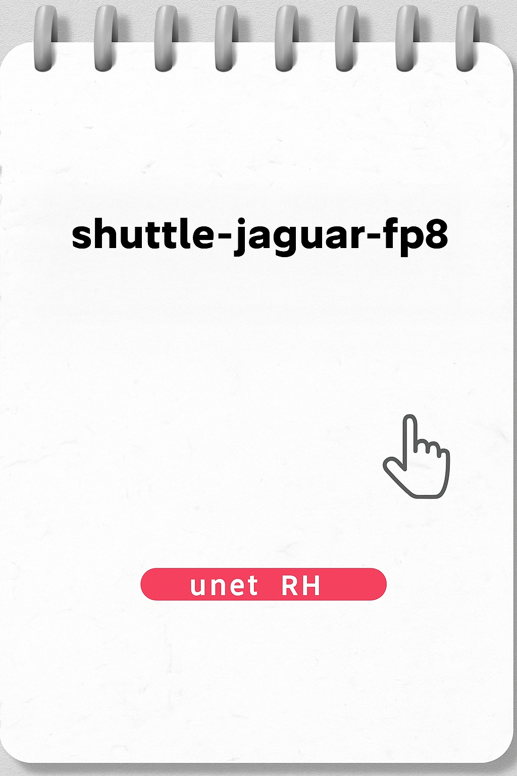 shuttle-jaguar-fp8.safetensors